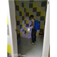 重庆灭鼠公司