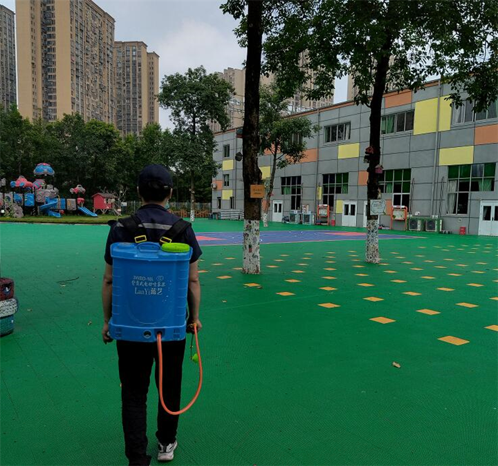 重庆灭鼠杀虫公司