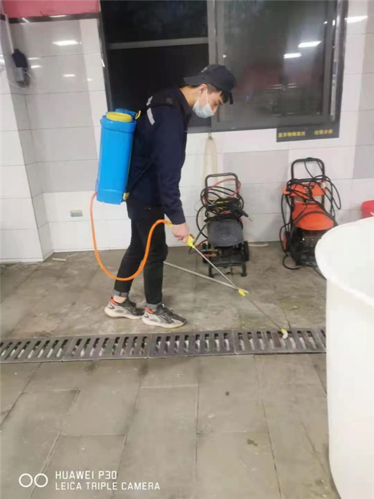 重庆灭老鼠公司