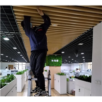 重庆灭蟑螂公司