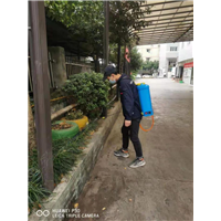 重庆灭鼠公司