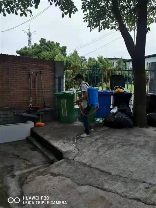 重庆灭鼠公司