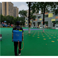 重庆灭鼠杀虫公司