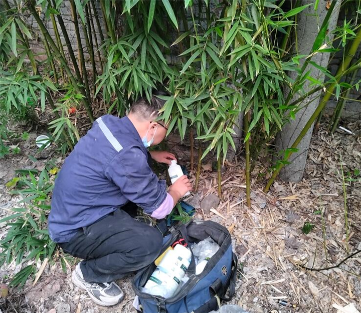 重庆灭老鼠公司