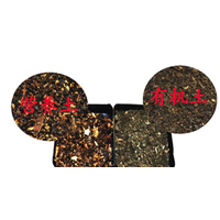 南平草炭土-福建草炭土