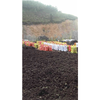 福州草炭土-福州花卉培养土