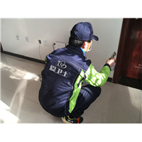 武汉硚口区甲醛治理