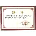 山东电影制片厂聘书 