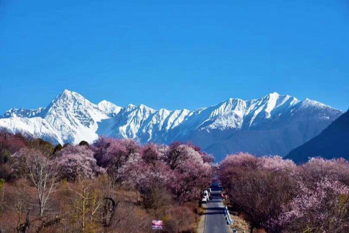 兰州旅游包车服务