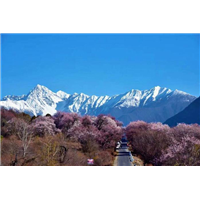 兰州旅游包车服务