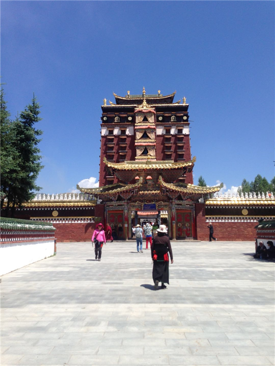 甘南风光 