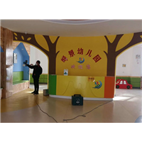 宝鸡扶风峰景幼儿园甲醛治理 