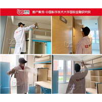 中国科学技术大学国际**研究院