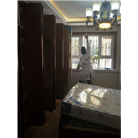 伊犁除甲醛