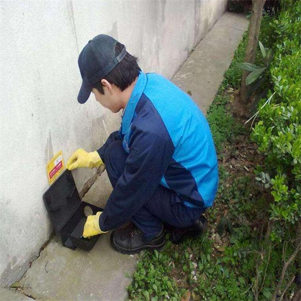 长沙灭鼠公司