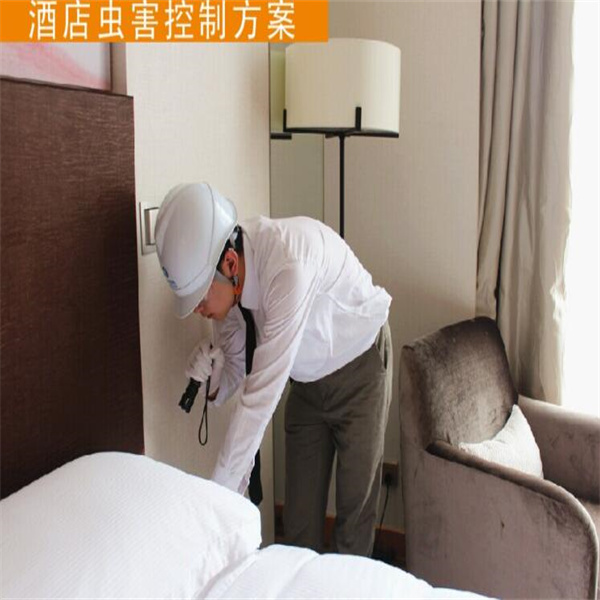 长沙专业灭鼠