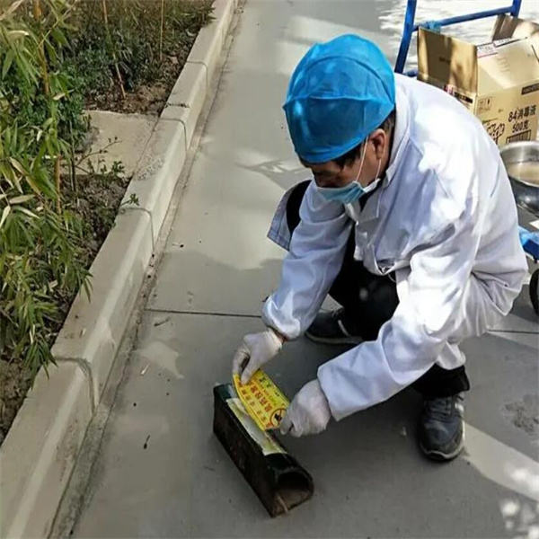 长沙灭鼠