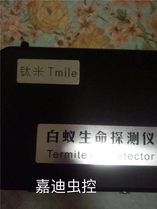 仙游白蚁防治 