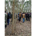 草珊瑚推广会