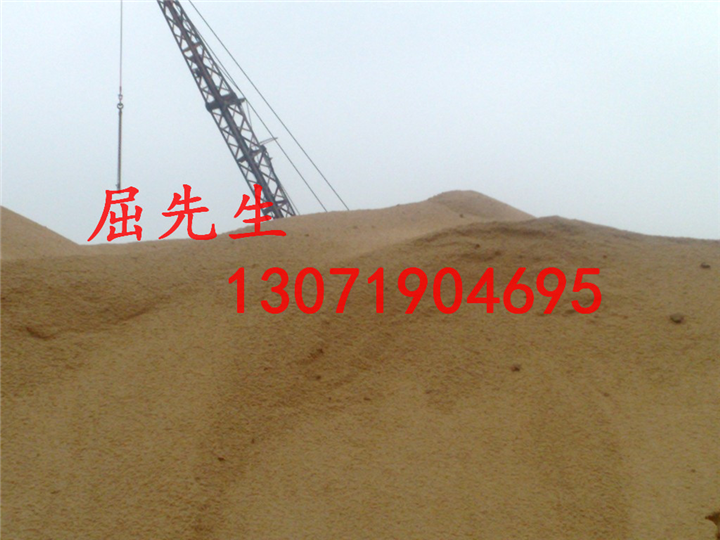 宁波黄沙水泥%宁波黄沙水泥出售 