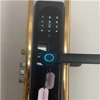 永宁县指纹锁分析