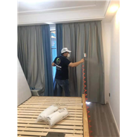 宁波专业除甲醛 