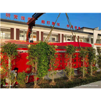 东莞随车吊租赁