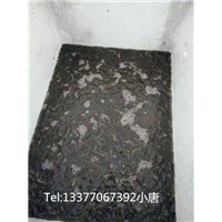 广西泥鳅苗种培育，广西泥鳅养殖基地 