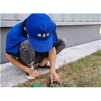 慈溪灭四害公司