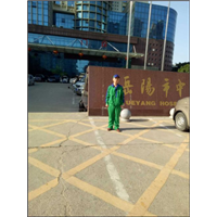 岳阳除甲醛公司 