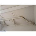 河源专业防水补漏公司13076137008