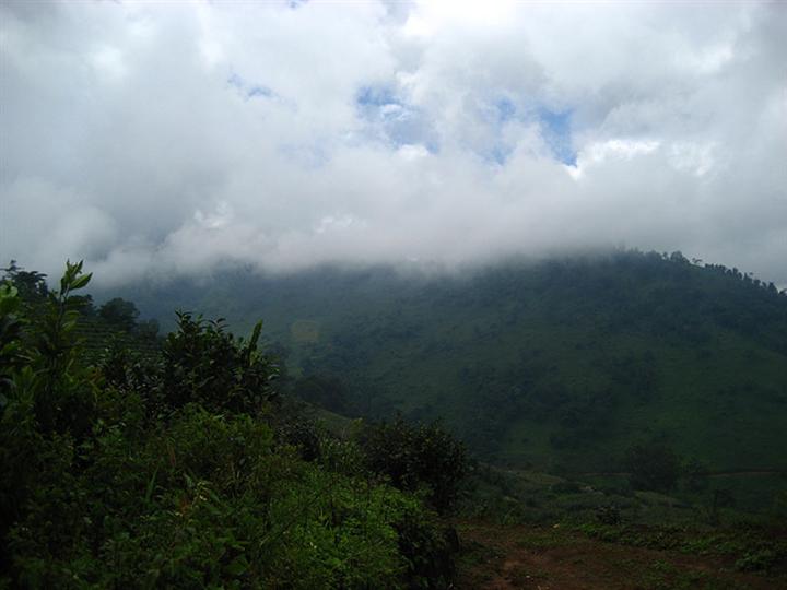 高山云雾 