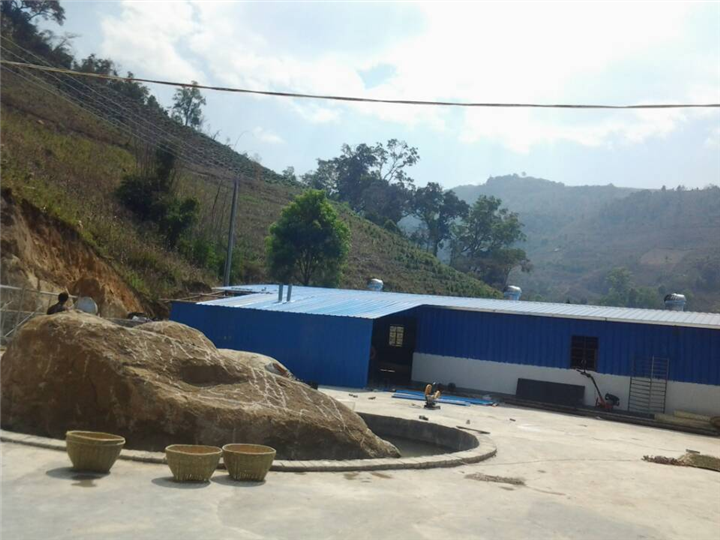 云南普洱茶基地