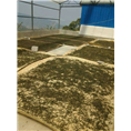 云南普洱茶厂