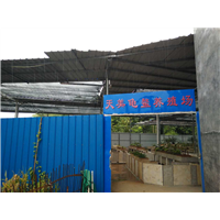 广东天美龟鳖养殖场 
