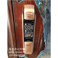 寿光指纹锁系列 