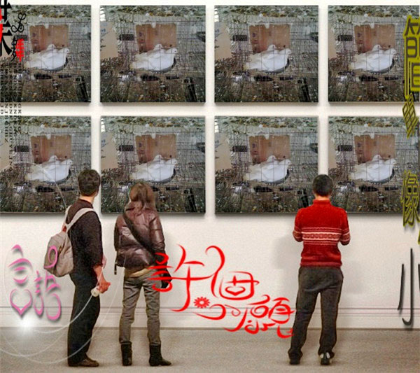 太湖肉鸽养殖 