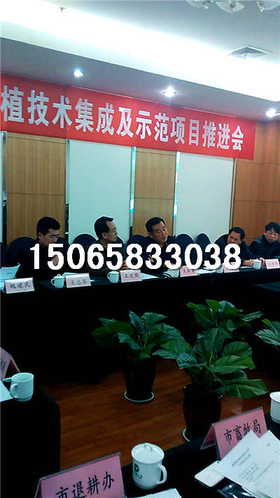 巨菌草适应性广，抗逆性强 