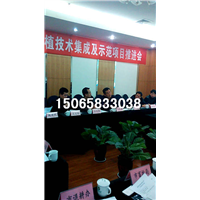 巨菌草适应性广，抗逆性强 
