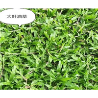 保持表面非常的平整