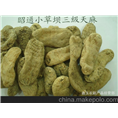 昭通干天麻 