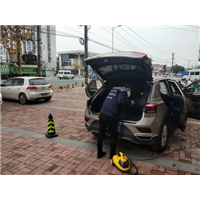 新车甲醛检测治理 