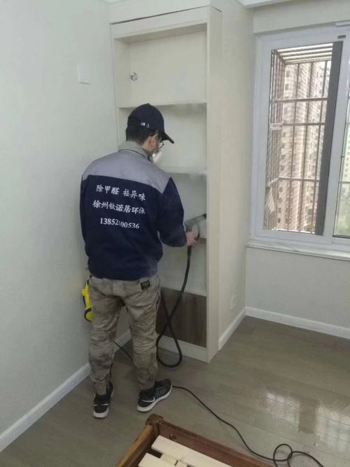 棕榈湾室内环境治理 