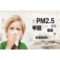 南阳甲醛检测