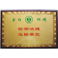 检测治理达标单位 