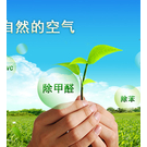 南阳除甲醛公司