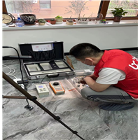 榆林专业除甲醛醛