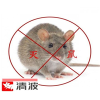 平凉食品厂灭鼠灭蟑螂