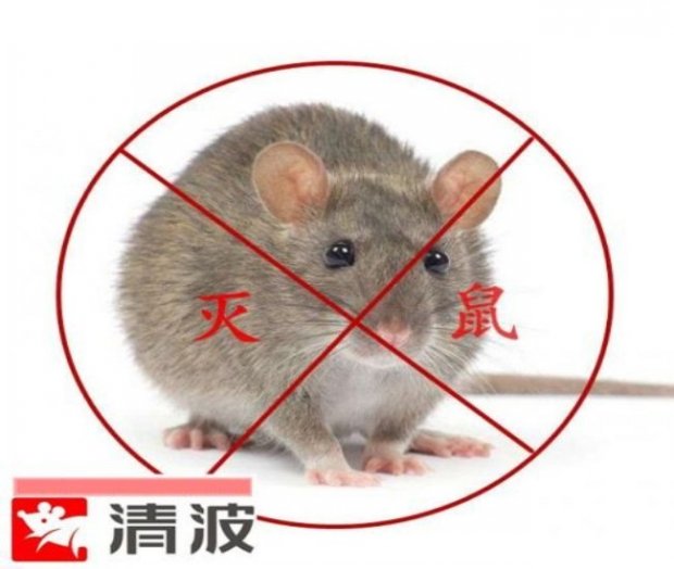 平凉食品厂灭鼠灭蟑螂