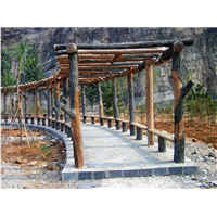 安顺塑石假山h遵义假山塑石h湖南假山塑石
